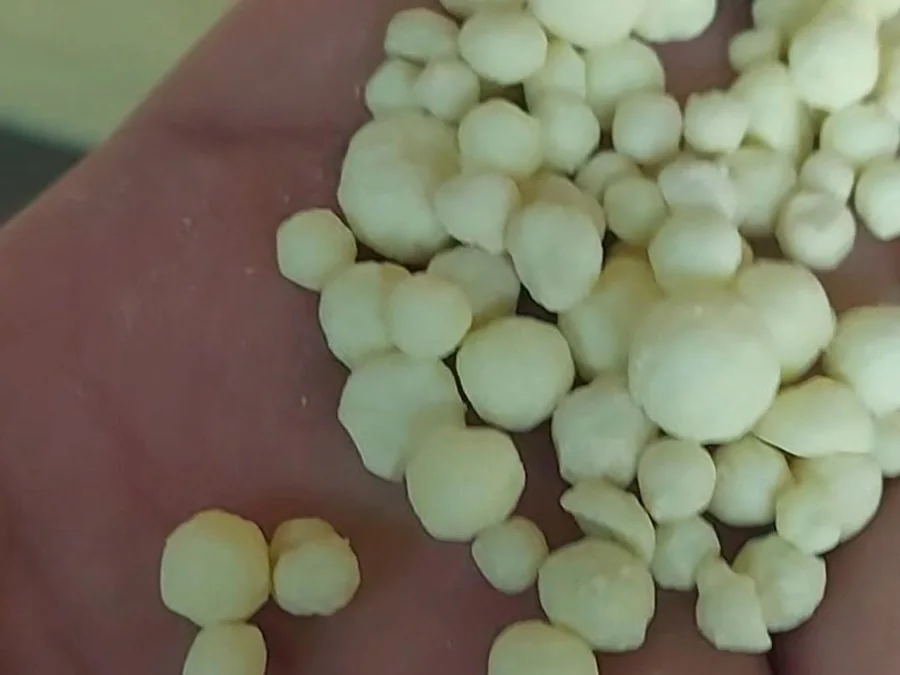 Granular sulphur held in a hand, pale cream rounded beads